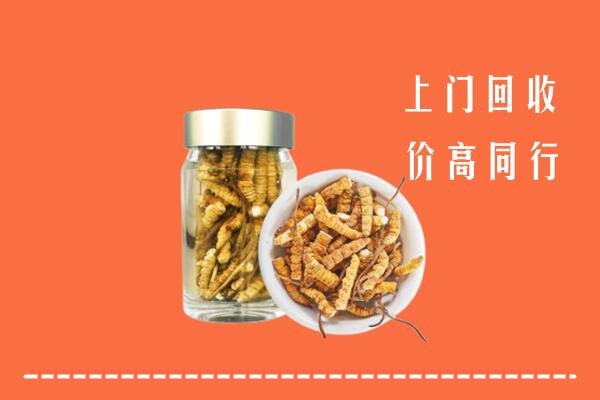 长治回收冬虫夏草